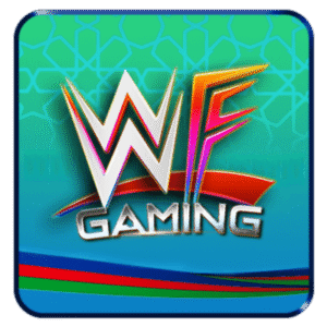 WF Gaming - 100cuci77
